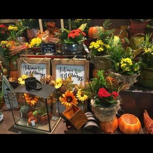 Meet your Posher, Iris